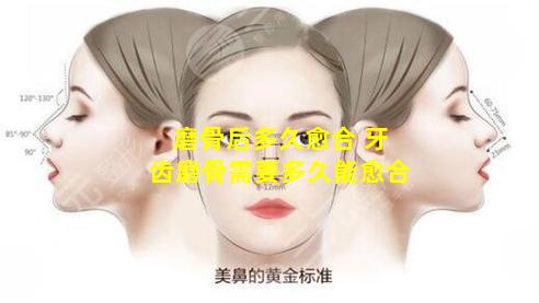 磨骨后多久愈合 牙齿磨骨需要多久能愈合